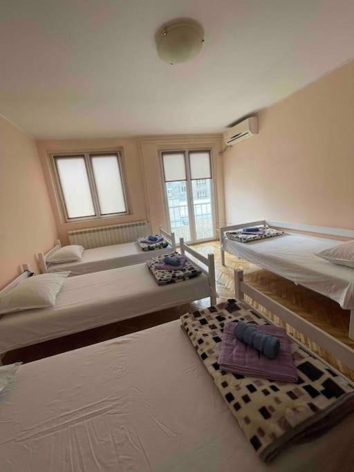 Bg Sunflower Apartment Belgrád Kültér fotó