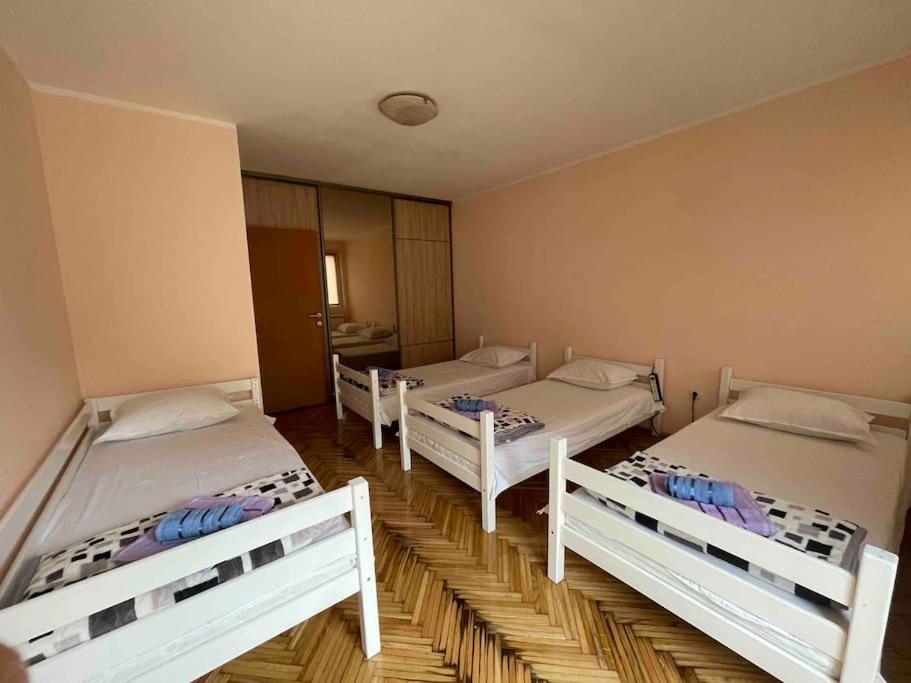 Bg Sunflower Apartment Belgrád Kültér fotó