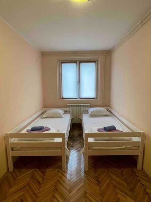 Bg Sunflower Apartment Belgrád Kültér fotó