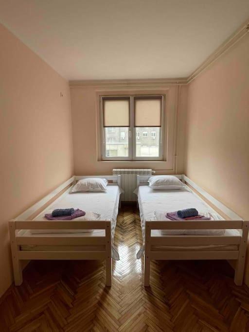 Bg Sunflower Apartment Belgrád Kültér fotó