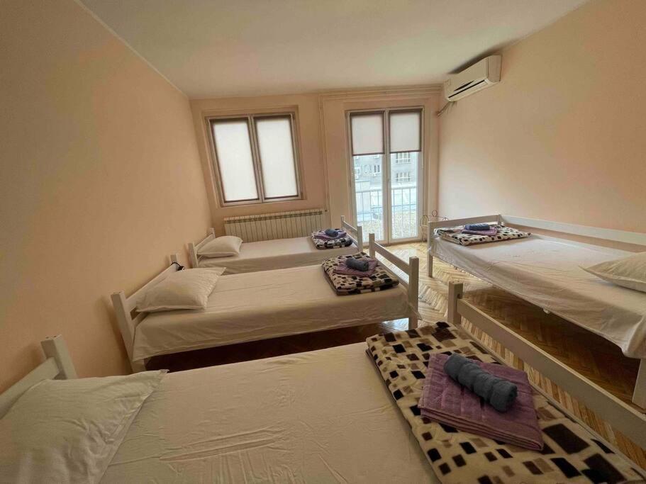 Bg Sunflower Apartment Belgrád Kültér fotó